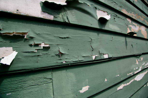 Best Stone Veneer Siding  in Flora, AL