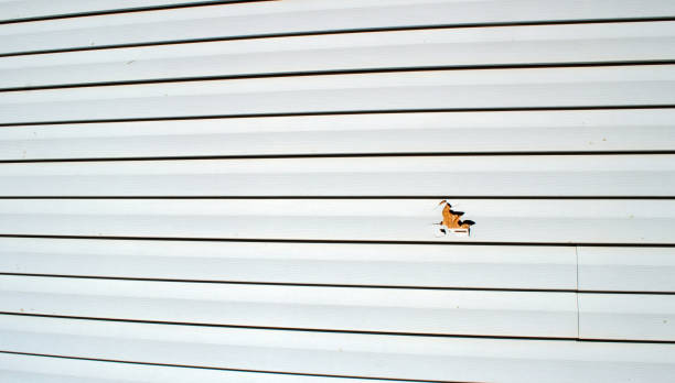 Best Engineered Wood Siding  in Flora, AL
