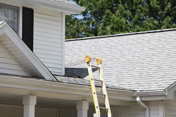 Best Insulated Siding Installation  in Flora, AL