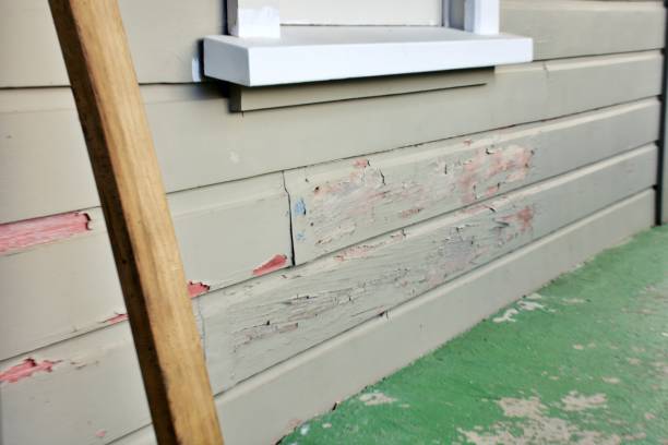 Best Siding Removal and Disposal  in Flora, AL